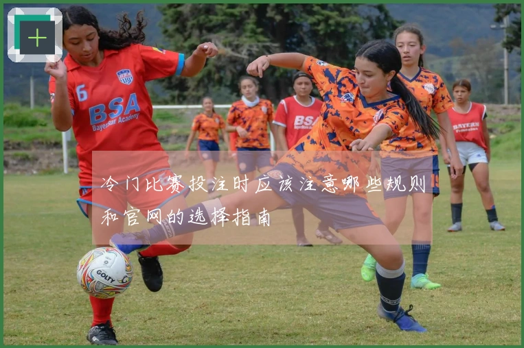 冷门比赛投注时应该注意哪些规则和官网的选择指南