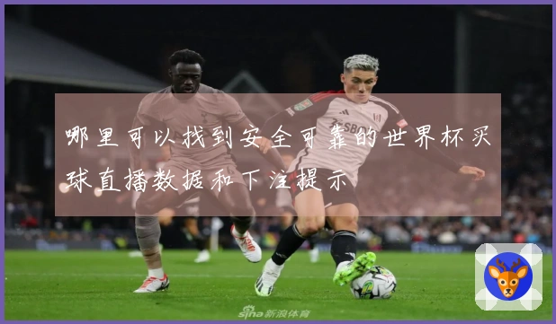 哪里可以找到安全可靠的世界杯买球直播数据和下注提示