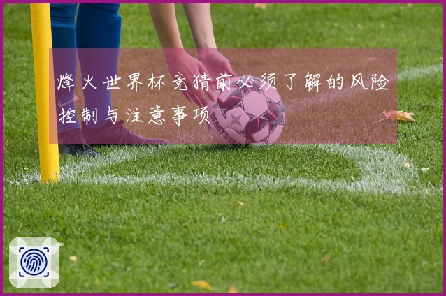 烽火世界杯竞猜前必须了解的风险控制与注意事项