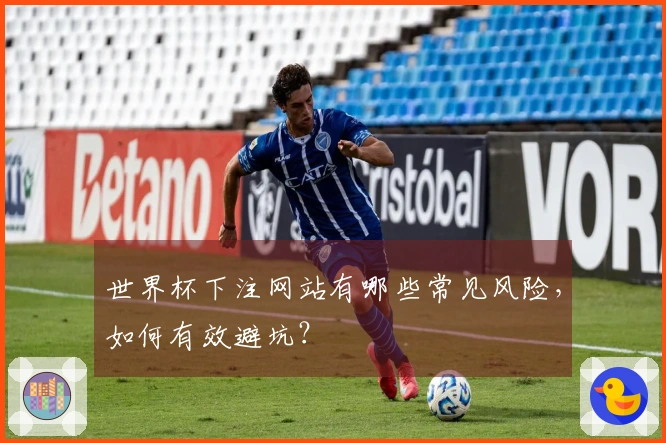 世界杯下注网站有哪些常见风险,如何有效避坑?