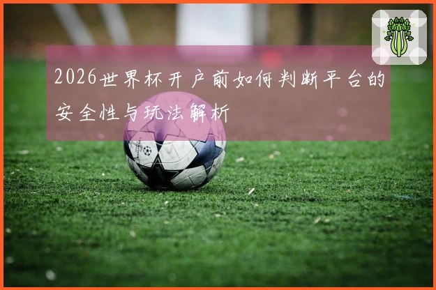 2026世界杯开户前如何判断平台的安全性与玩法解析